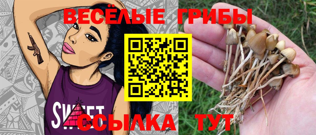 Валуйки  Галлюциногенные грибы MAGIC MUSHROOMS  Вход с VPN 